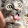 Kittycatmom's avatar image