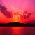 Profile picture of pink2627