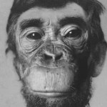 monkeybrew's avatar image