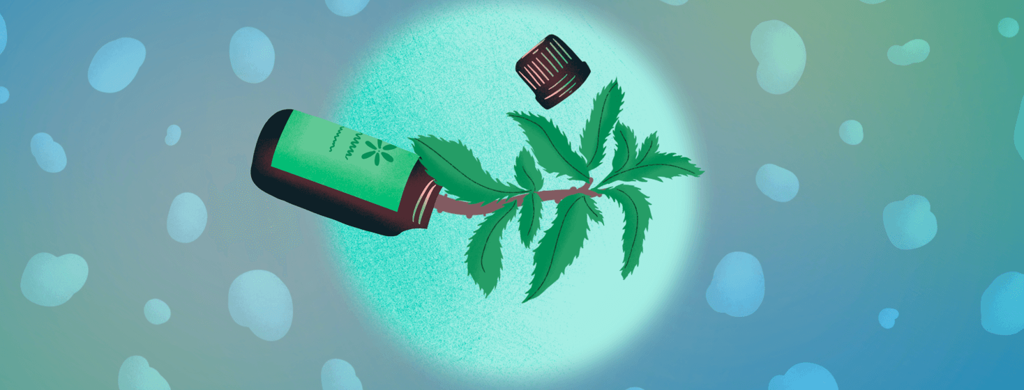 An essential oil bottle tipped to its side to reveal a peppermint plant stalk growing from it