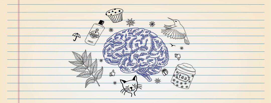 A notebook page with a brain sketched in the middle and surrounded by various illustrations.